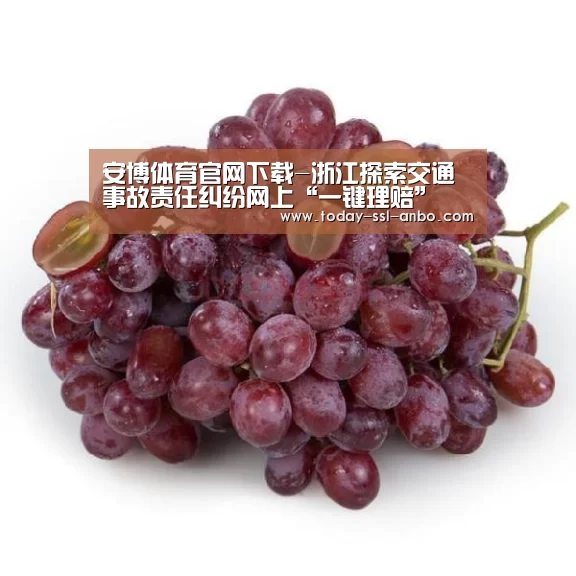 安博体育官网下载