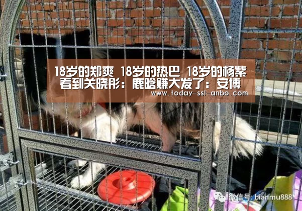 安博体育官网下载