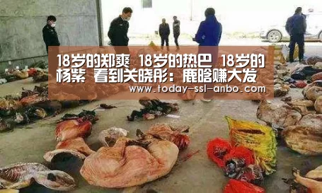 安博体育官网下载